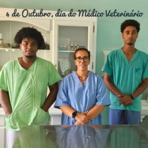 Three veterinary professionals pose in a clinic, celebrating World Veterinary Day (banner reads '4 de Outubro, dia do Médico Veterinário').